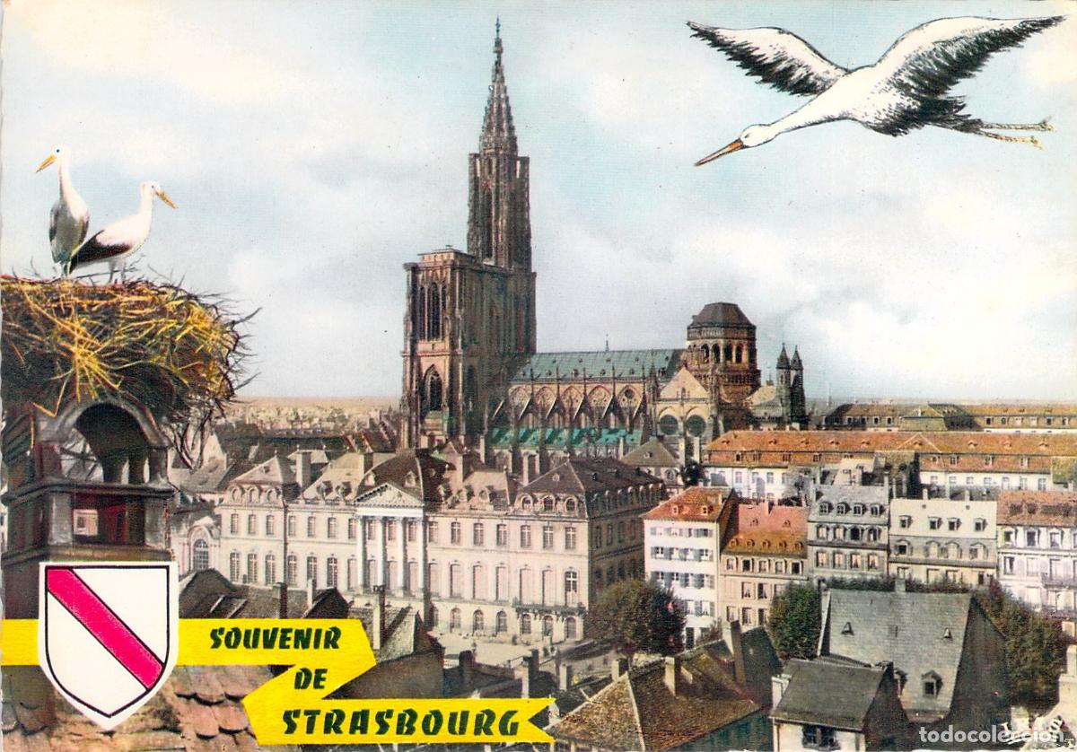 Postales: Postal de Estrasburgo con Vista al Palacio Rohan y la Catedral
