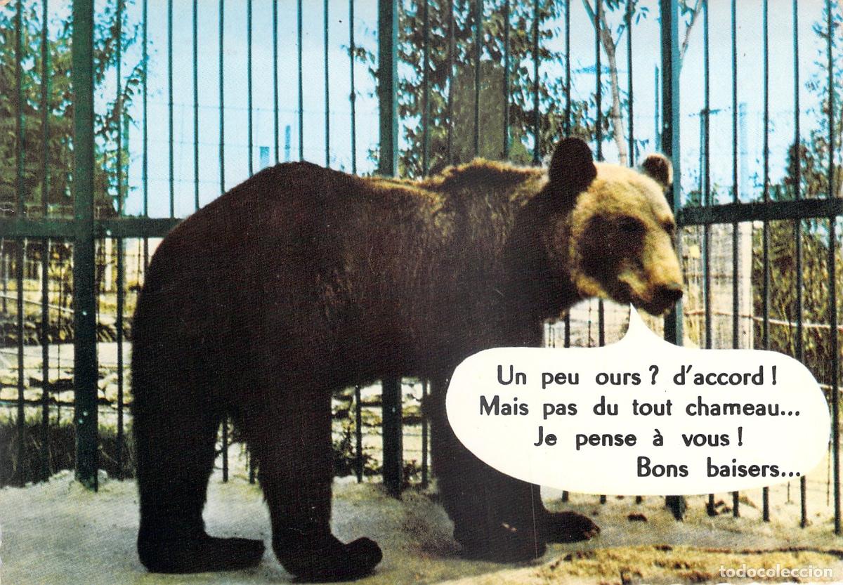 Postales: Postal de Humor con Oso Pardo en el Zool&oacute;gico de Sigy-le-Ch&acirc;tel
