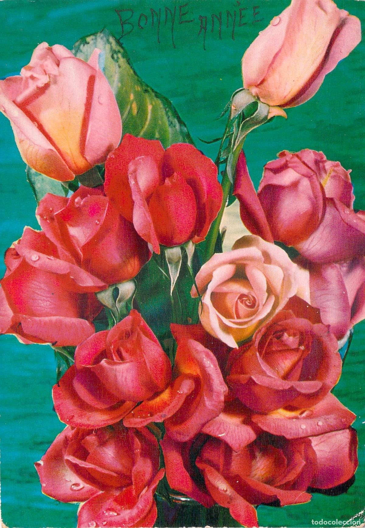 Postales: Postal de Felicitaci&oacute;n de A&ntilde;o Nuevo con Rosas Rojas y Rosadas