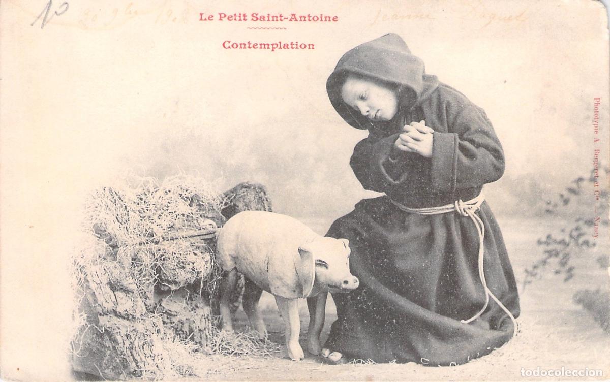 Postales: Postal Le Petit Saint-Antoine Contemplation con Cerdito
