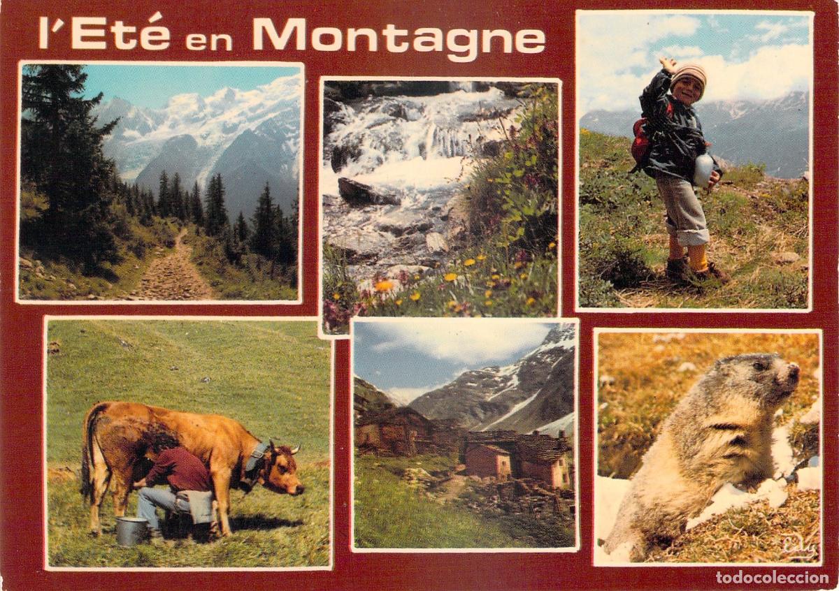 Postales: Postal Multivista de Verano en la Monta&ntilde;a Alpes Franceses