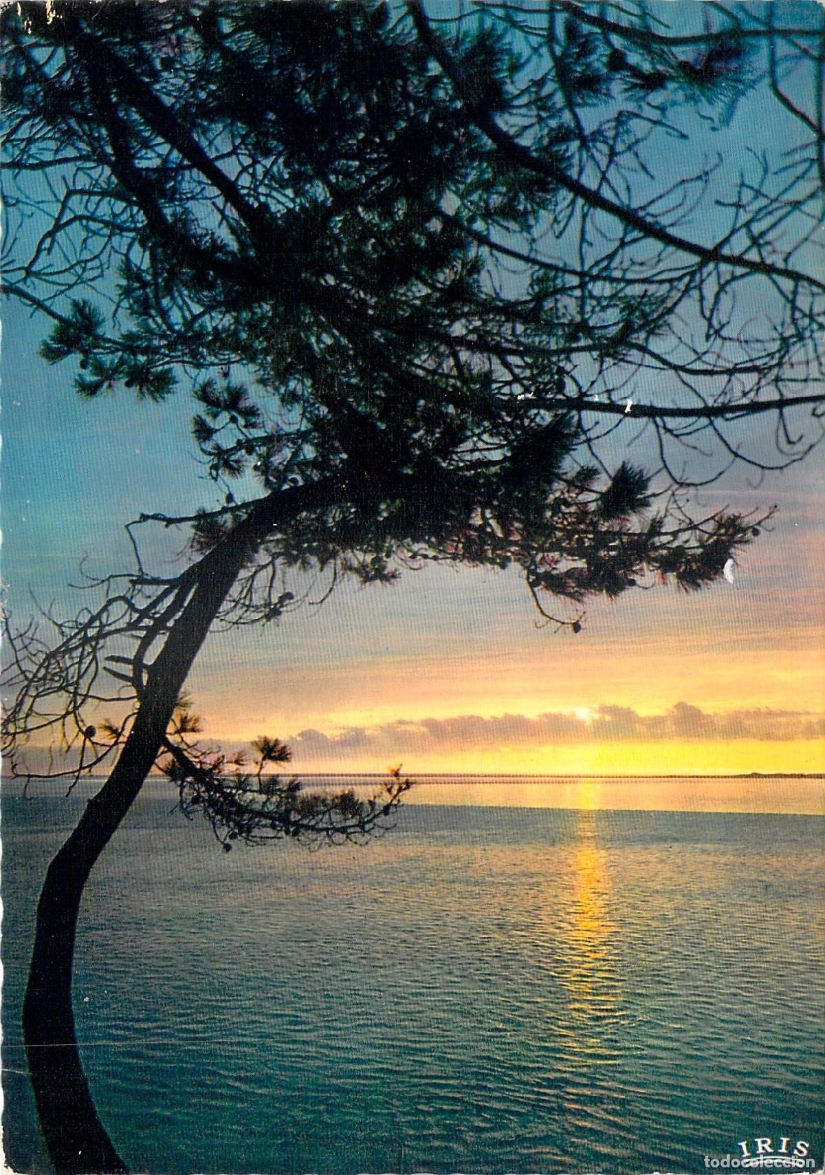 Postales: Postal Atardecer en la Costa Atl&aacute;ntica, Isla de R&eacute;, Francia