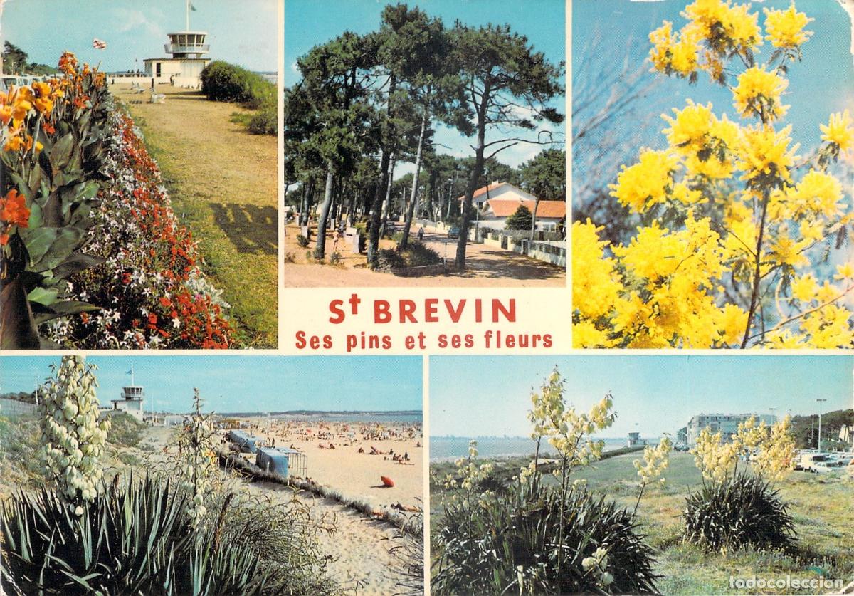 Postales: Postal de Saint-Brevin-les-Pins, Francia - Vistas de Pinos y Flores