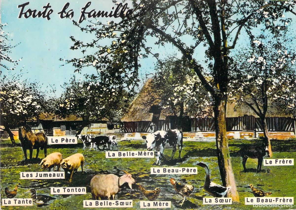 Postales: Postal de Humor Toda la Familia Animales de Granja As de Coeur