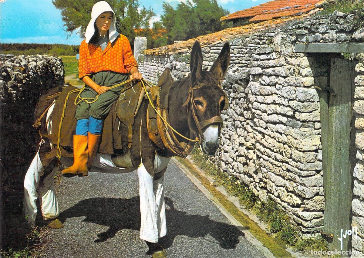 Postales: Postal de &Icirc;le de R&eacute; - Mujer sobre Asno con Pantalones