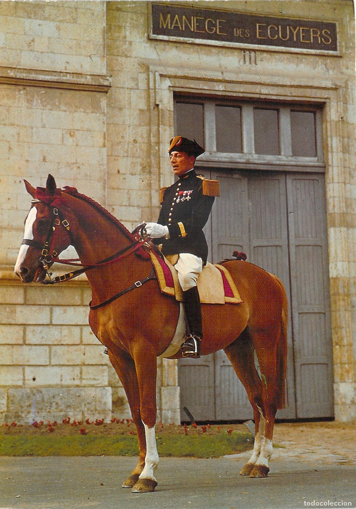 Postales: Postal Oficial del Cadre Noir a Caballo Saumur Francia