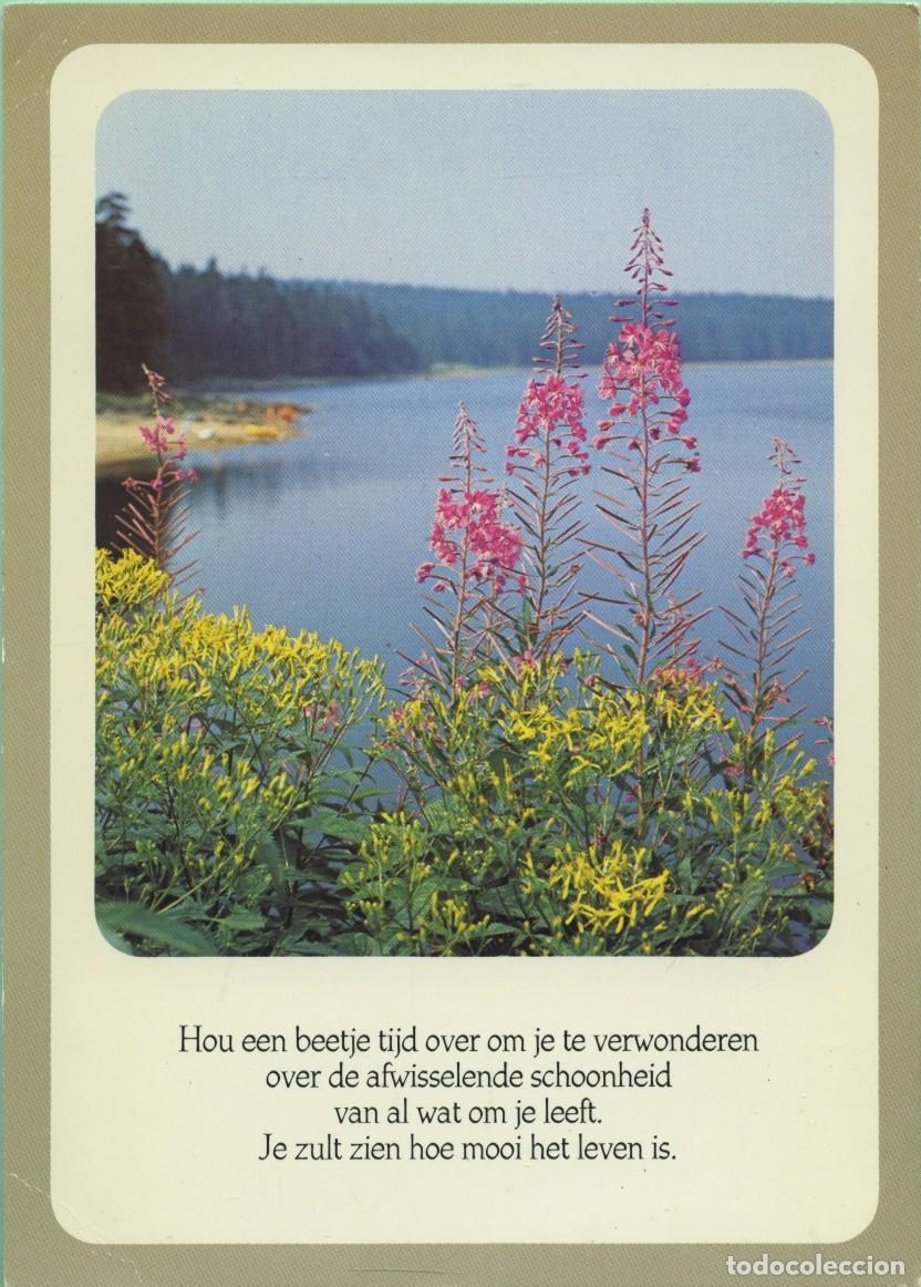 Postales: Paisaje. Brujas. B&eacute;lgica. Escrita en 1984. ED. EKN