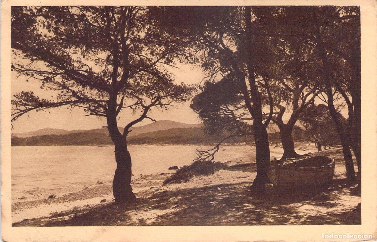 Postales: Postal de la Playa de la Favi&egrave;re en Le Lavandou, Var