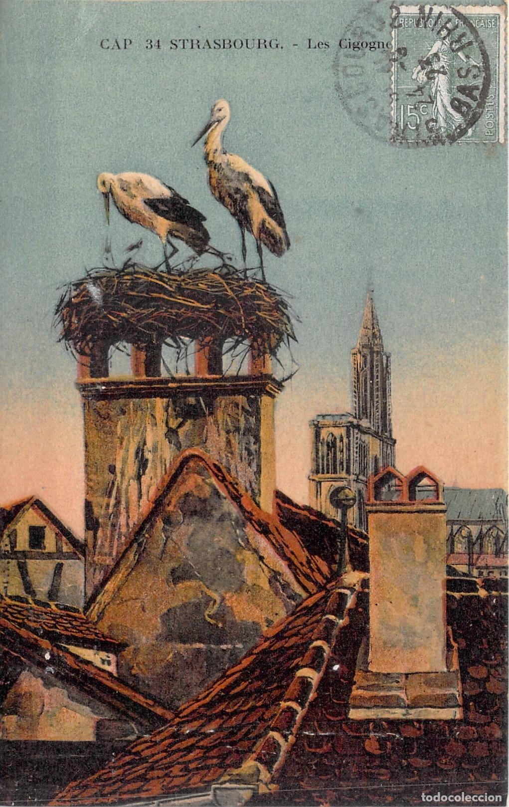 Postcards: Tarjeta Postal de Estrasburgo con Cig&uuml;e&ntilde;as en el Nido y Catedral