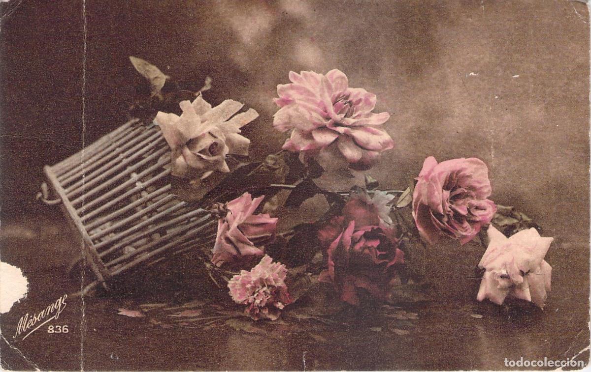Postales: Postal Art&iacute;stica de Bodeg&oacute;n con Rosas y Cesta de Mimbre