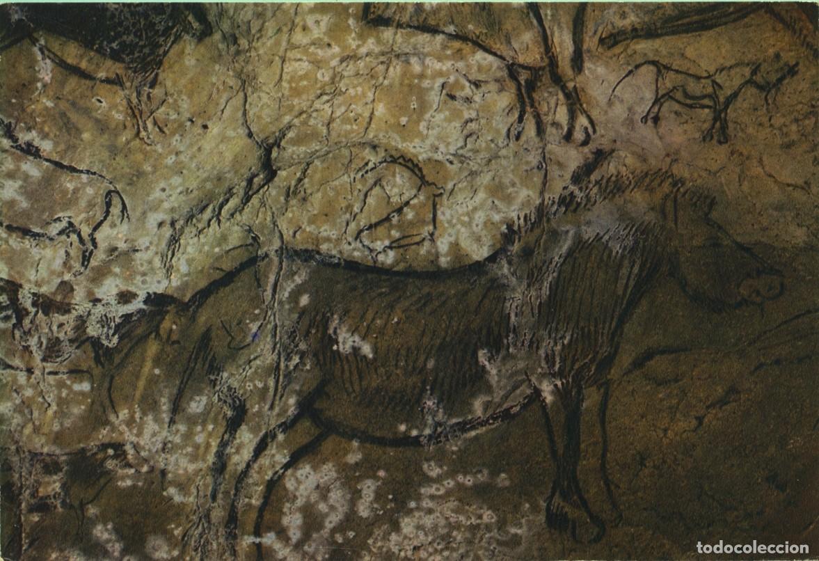 Postales: N&ordm; 5-NIAUX CAVE (Ari&egrave;ge). Pintura en l&iacute;nea negra del per&iacute;odo magdaleniense. Sin circular. EDITIONS M