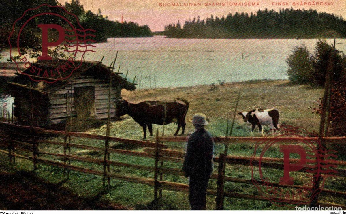 Cartes Postales: SUOMALAINEN SAARISTOMAISEMA FINSK SKARGARDSVY FINLANDE FINLANDIA FINLAND SUOMI