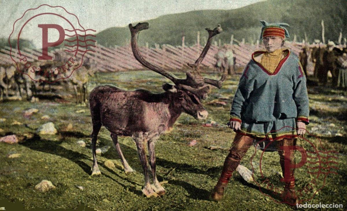 Postales: NORUEGA. Norv&egrave;ge - FINMARKEN - Lap med Ren