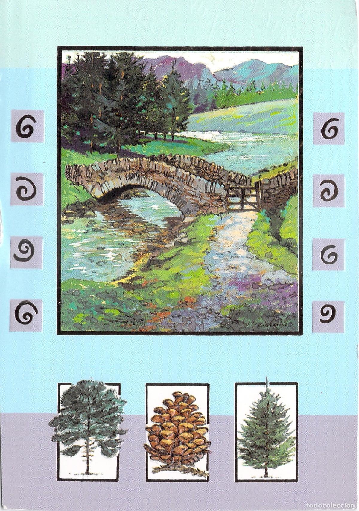 Postales: Postal Ilustrada de Puente de Piedra y Paisaje de Monta&ntilde;a
