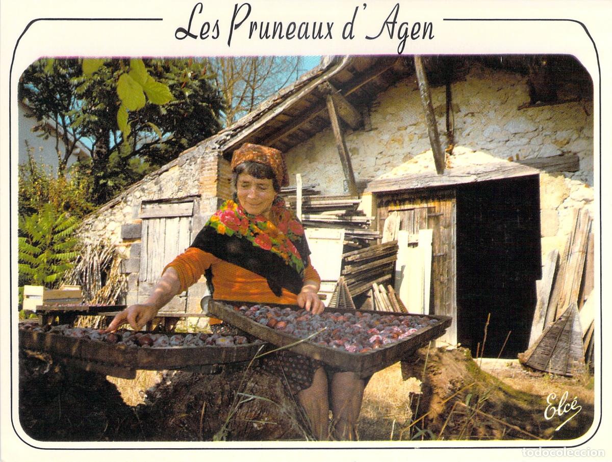 Postales: Postal de las Ciruelas de Agen Lot-et-Garonne Francia