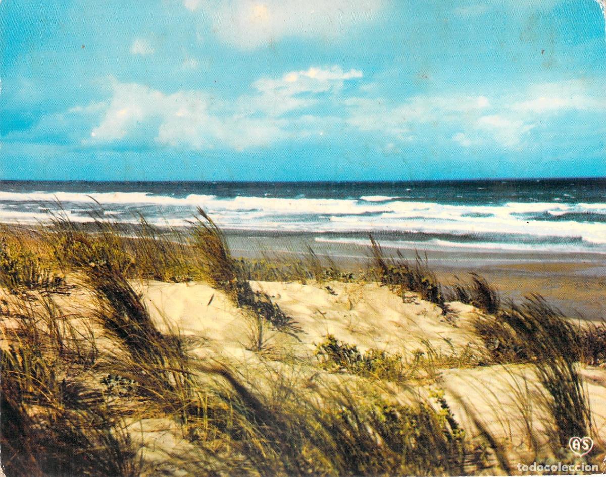 Postales: Postal Paisaje de Playa con Dunas y Mar de Colecci&oacute;n As de Coeur