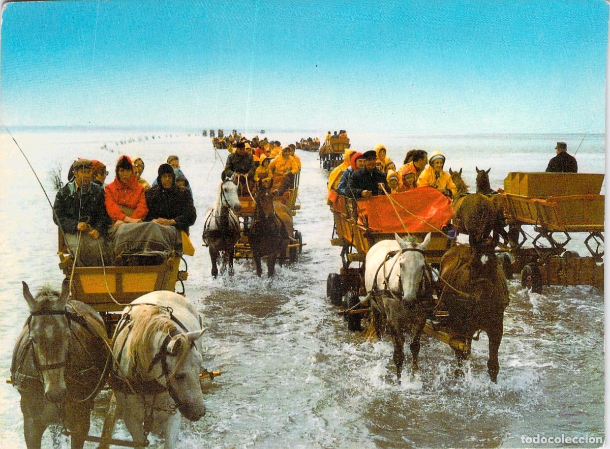 Postales: Postal Cuxhaven Duhnen Wattenfahrt Paseo en Coche de Caballos