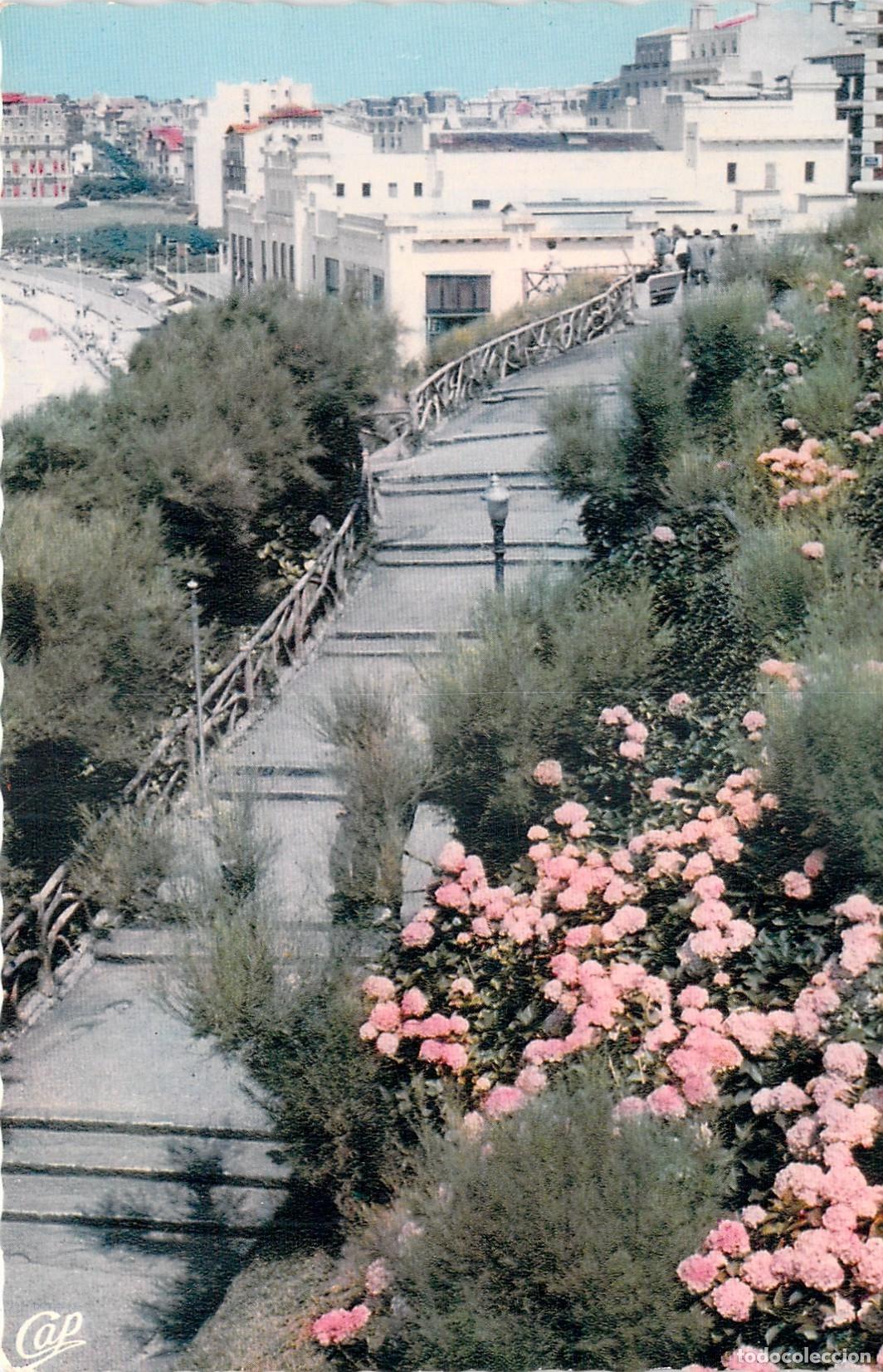 Postales: Postal Biarritz: La Descente de Plage, Hortensias y Casino
