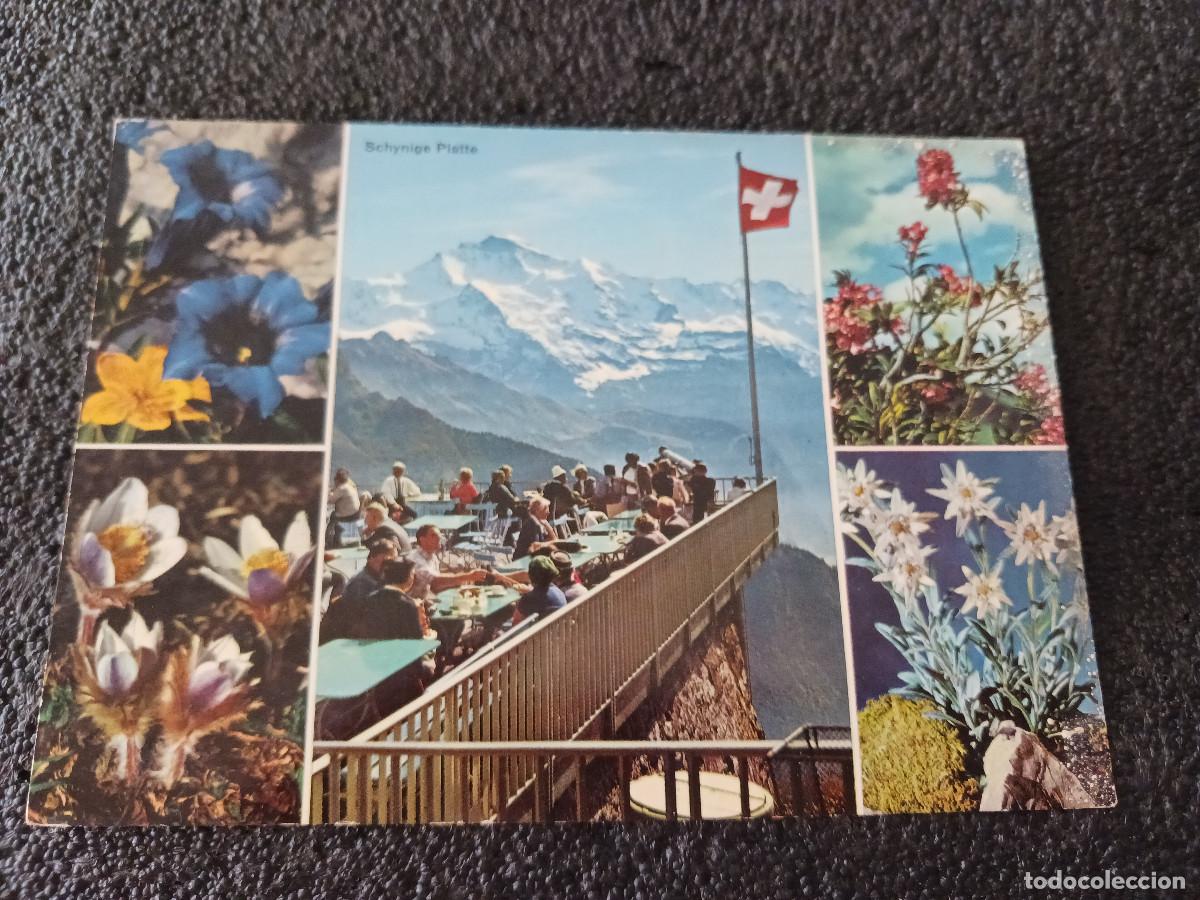 Postales: 2186 hotel schynige platte jungfrau