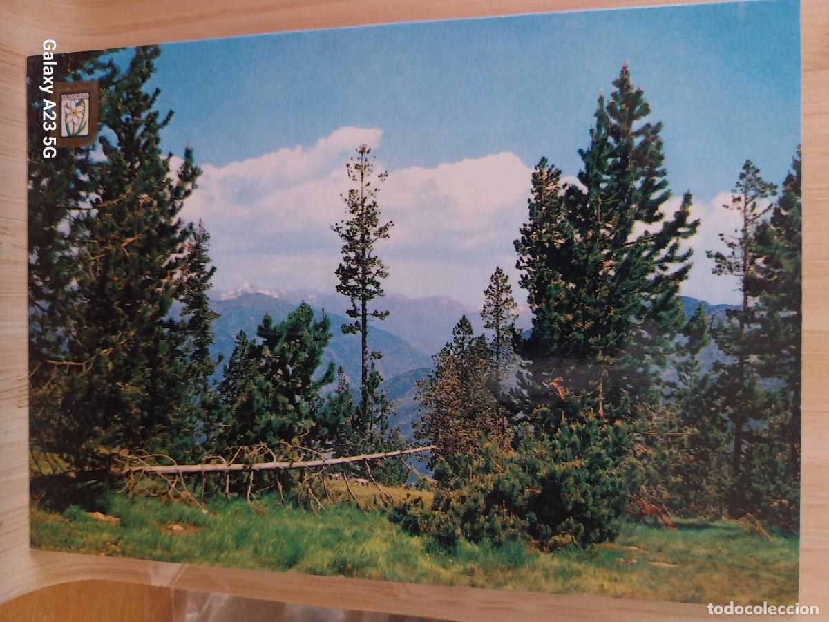Postales: ANDORRA LA RABASSA ED FISA 311 SC ORIGINAL
