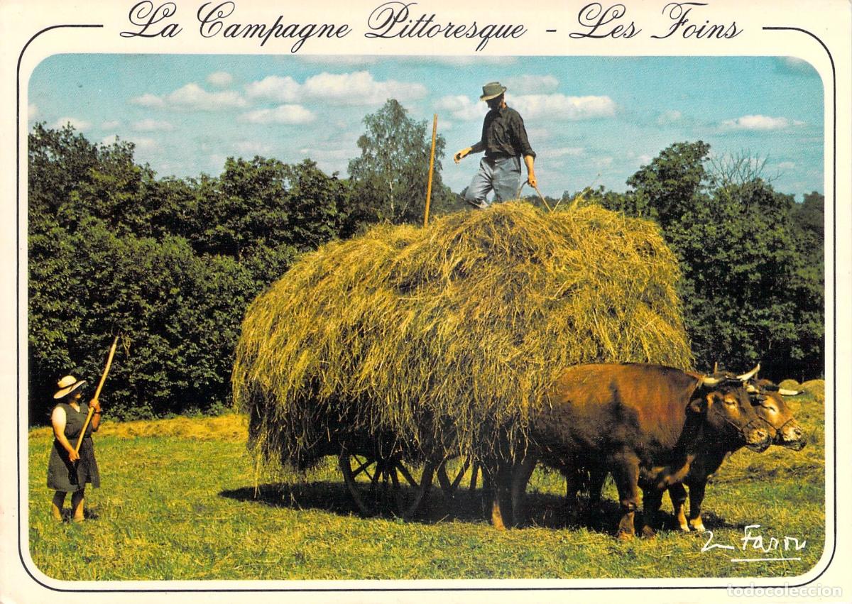 Cartes Postales: Postal de la Campi&ntilde;a Francesa con Carro de Heno y Bueyes