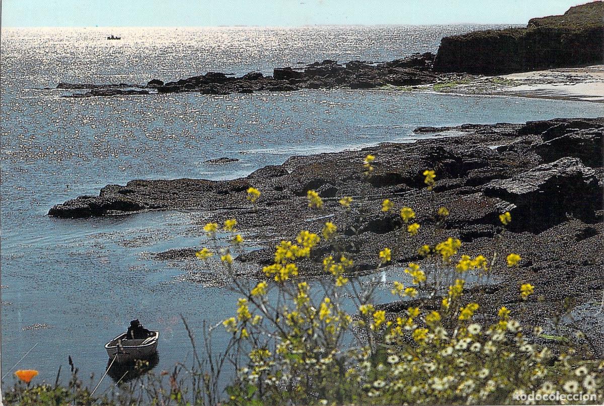 Postales: Postal de Breta&ntilde;a, Costa Rocosa con Flores y Bote, Carnac, Francia