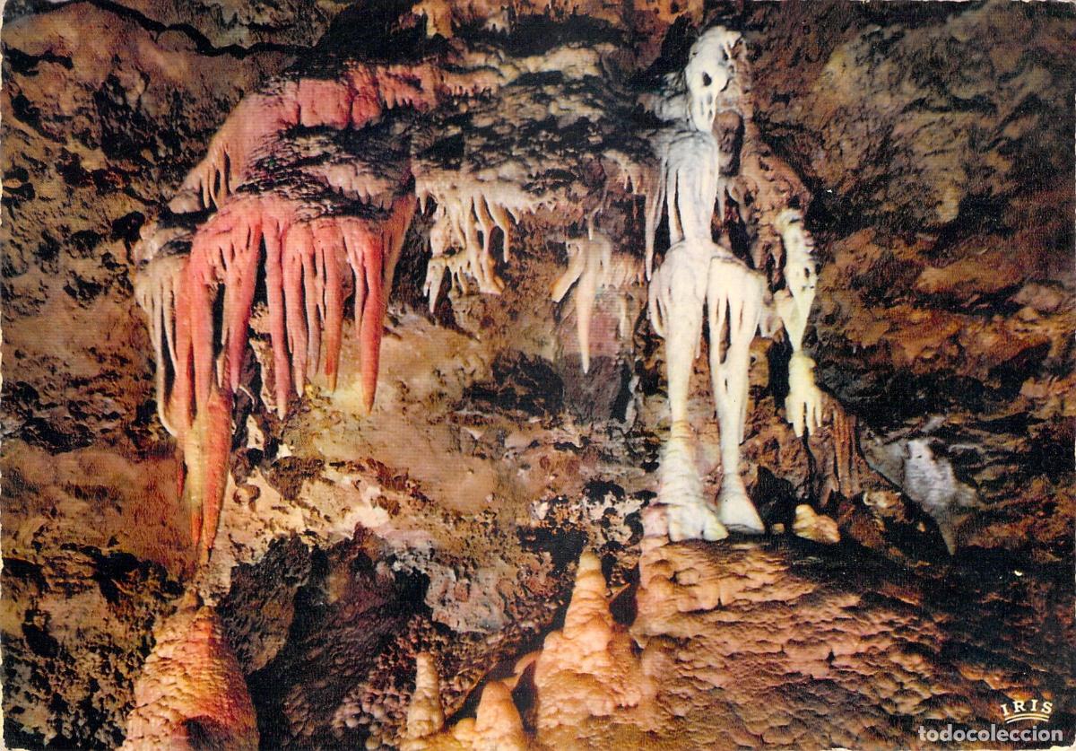 Postais: Postal de las Grutas de Saint-C&eacute;zaire, El Esqueleto y los &Oacute;rganos
