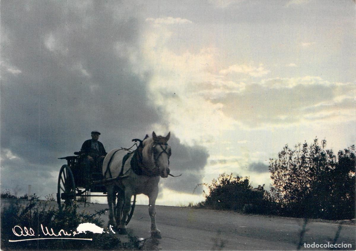 Postkarten: Postal de Carruaje de Caballos Antes de la Tormenta por Albert Monier