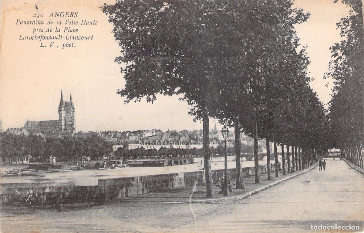 Postais: Postal de Angers Panorama de la Ville-Haute con Catedral y Paseo
