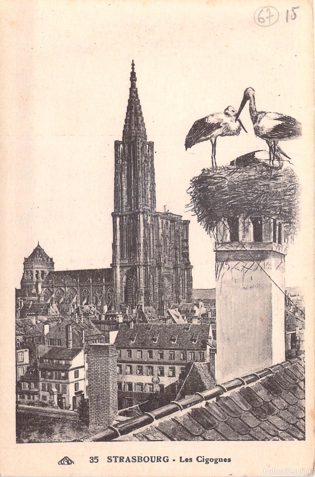 Cartoline: Postal de Estrasburgo con Cig&uuml;e&ntilde;as en el Nido y Catedral al Fondo