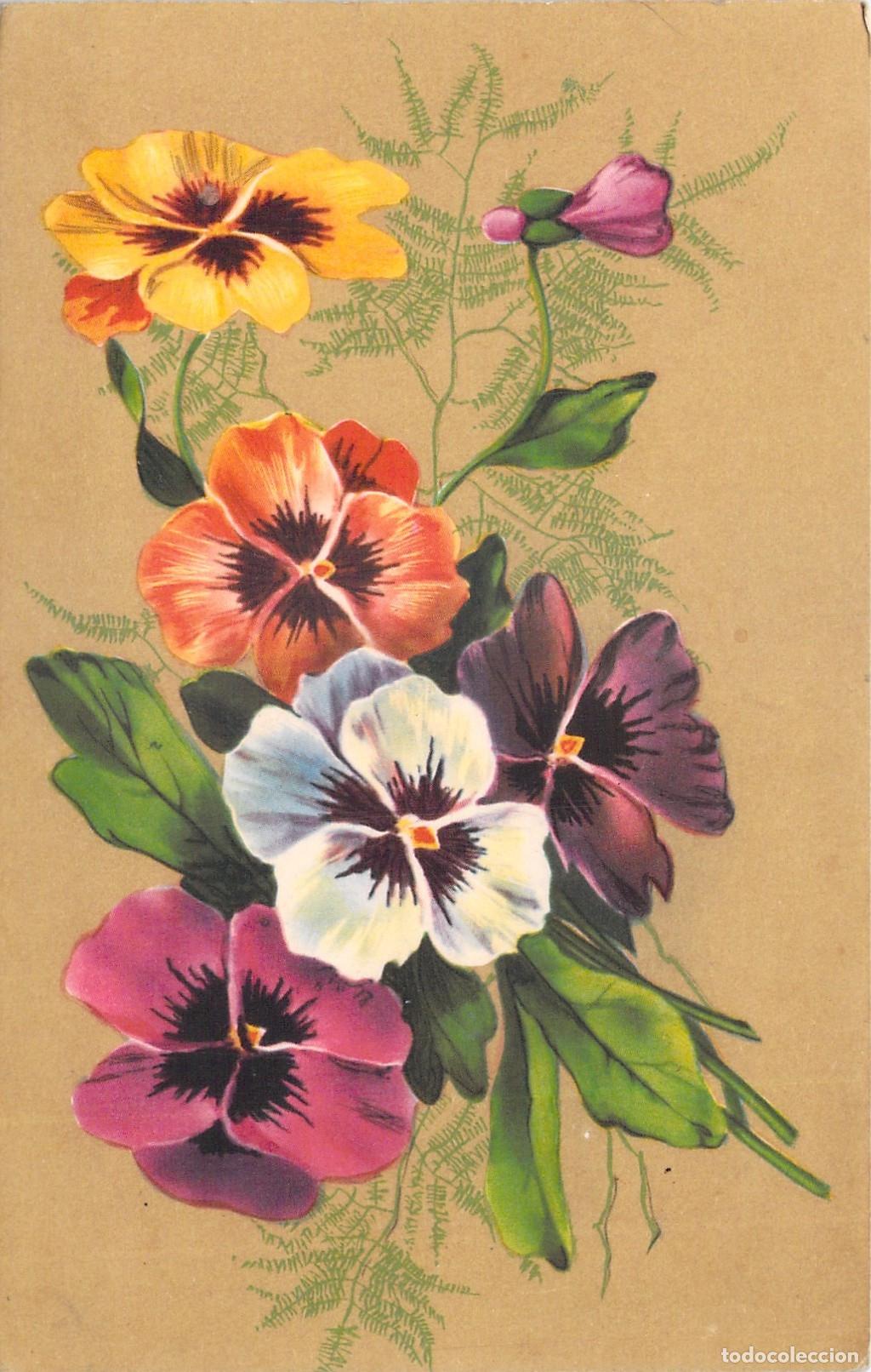Postales: Postal de Flores con Ilustraci&oacute;n de Pensamientos de Colores