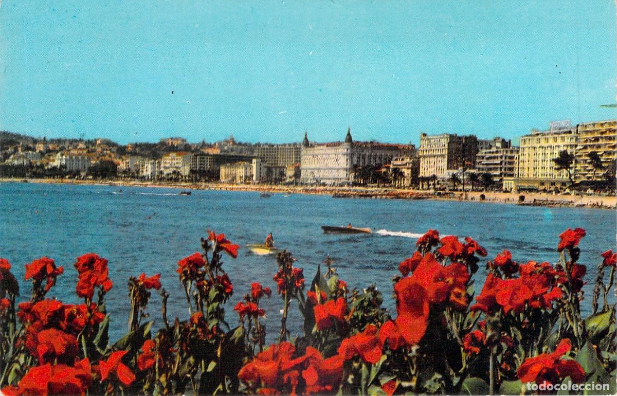 Cartoline: Postal de Cannes Vista General de la Croisette con Flores en Primer Plano