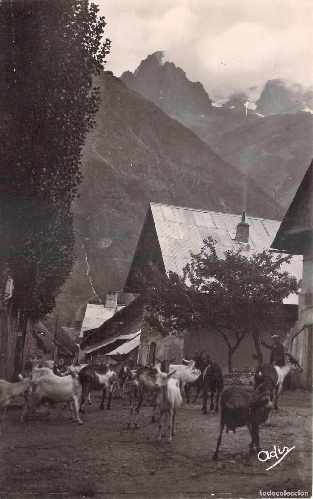 Postais: Postal La Chapelle-en-Valgaudemar Alpes Franceses Reba&ntilde;o de Cabras