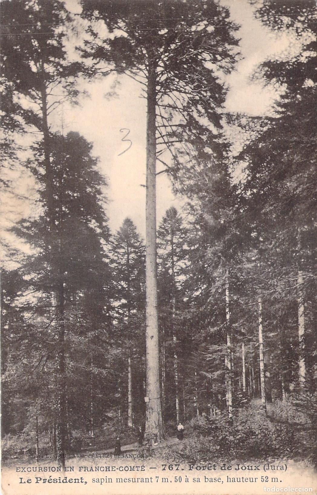 Postales: Postal de la For&ecirc;t de Joux Jura Francia El Presidente