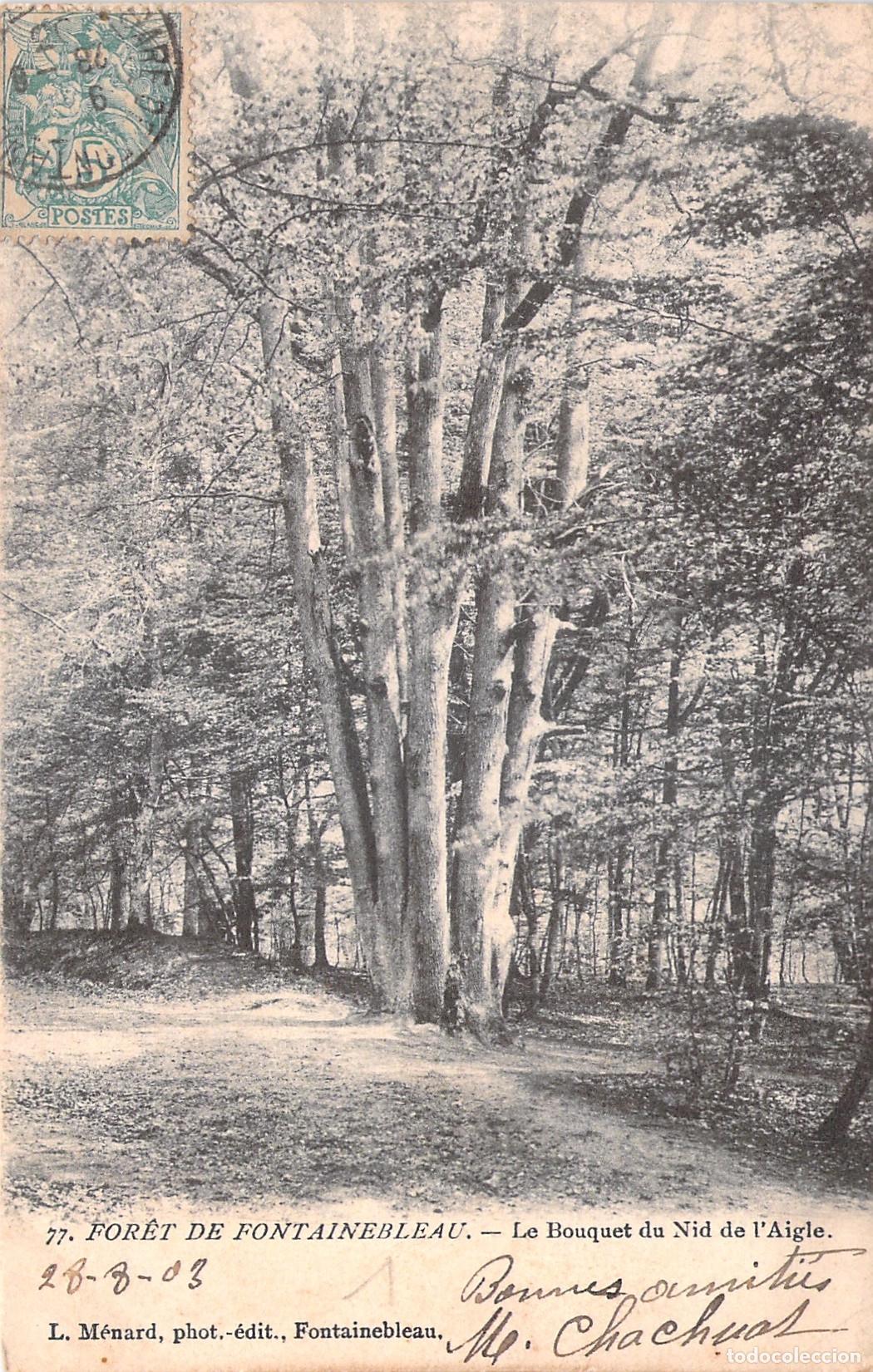 Postales: Postal de la For&ecirc;t de Fontainebleau - Le Bouquet du Nid de l'Aigle