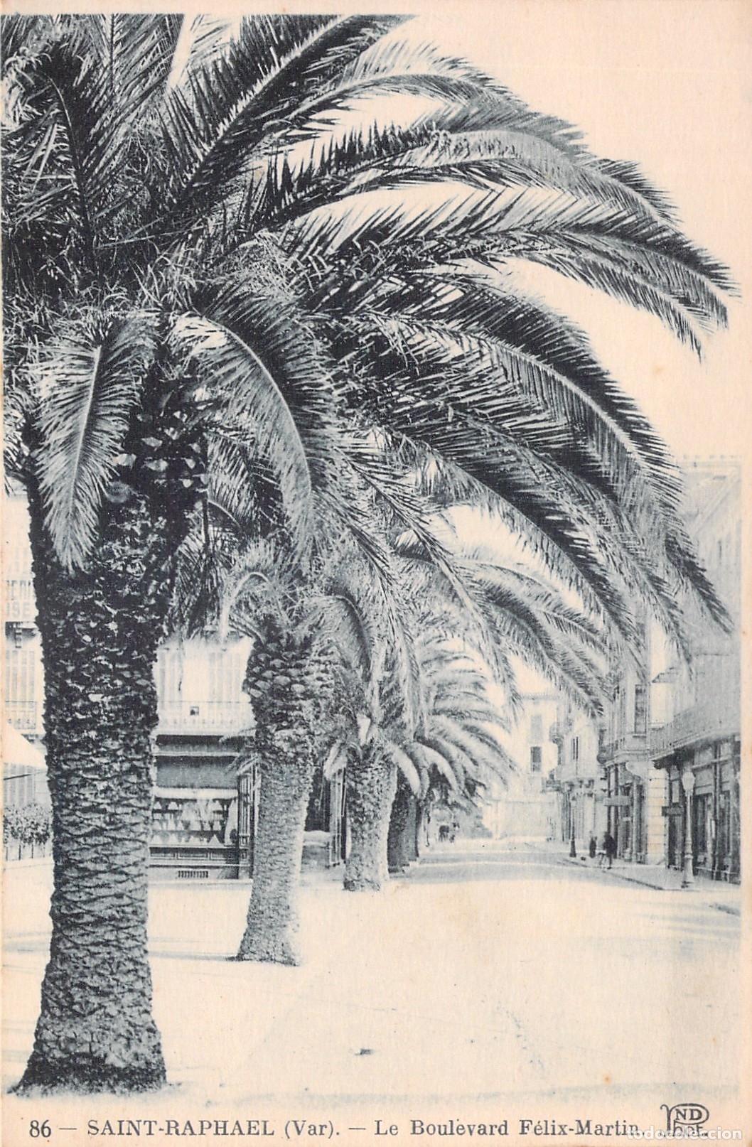 Postales: Postal de Saint-Rapha&euml;l Boulevard F&eacute;lix-Martin con Palmeras