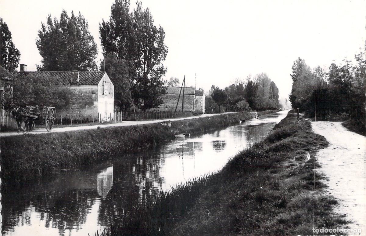 Cartoline: Postal de Courdault Vend&eacute;e Francia Canal y Paisaje Rural