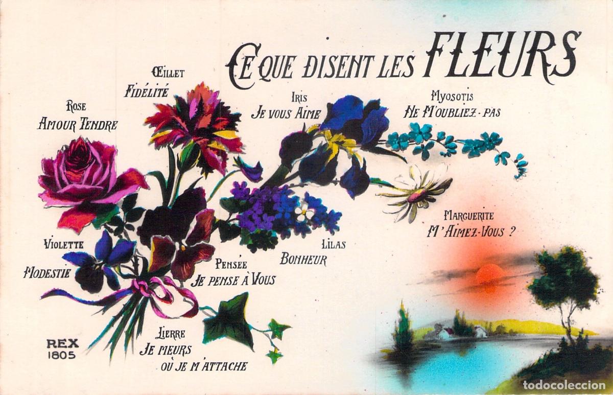 Postales: Postal Ilustrada Francesa El Lenguaje de las Flores REX