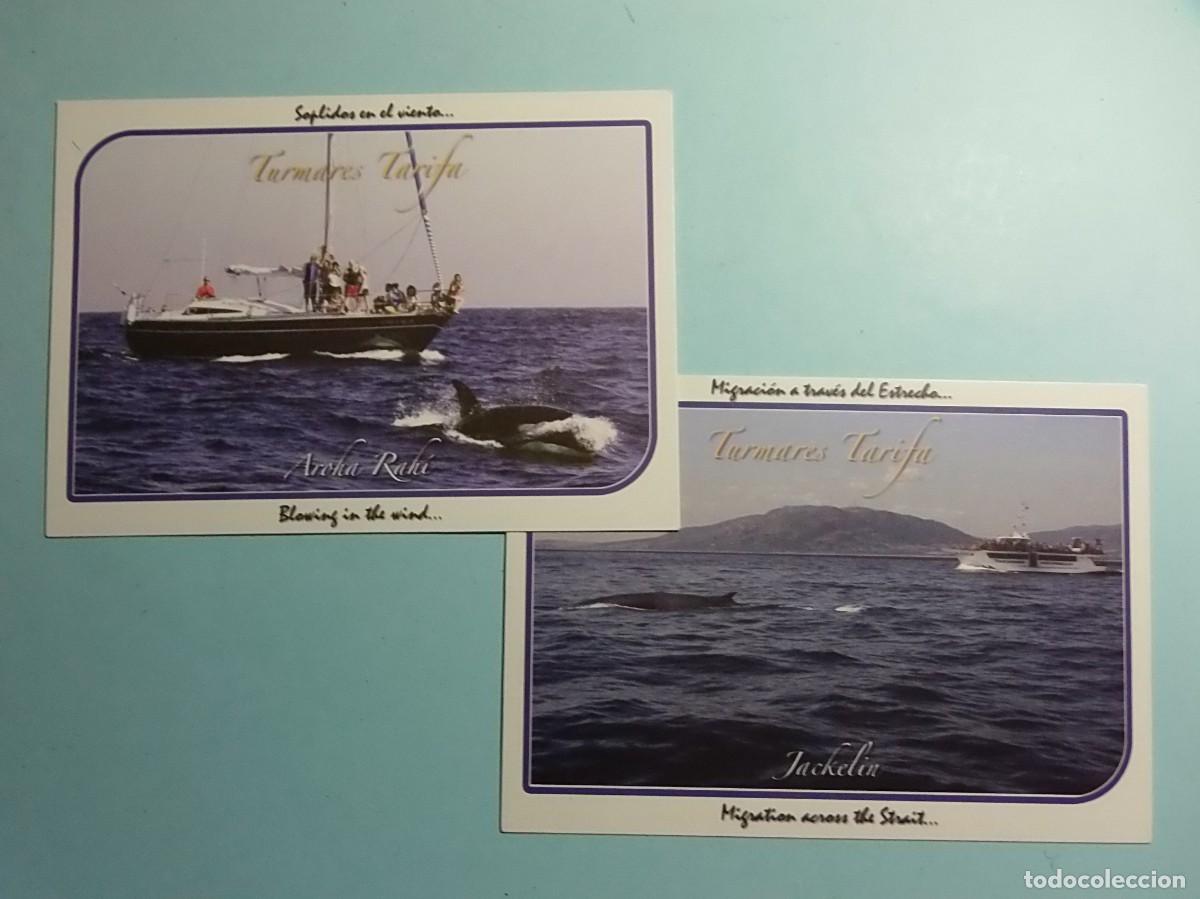 Postales: TARJETA POSTAL - TARIFA, MIGRACI&Oacute;N - ORCAS Y BALLENAS.