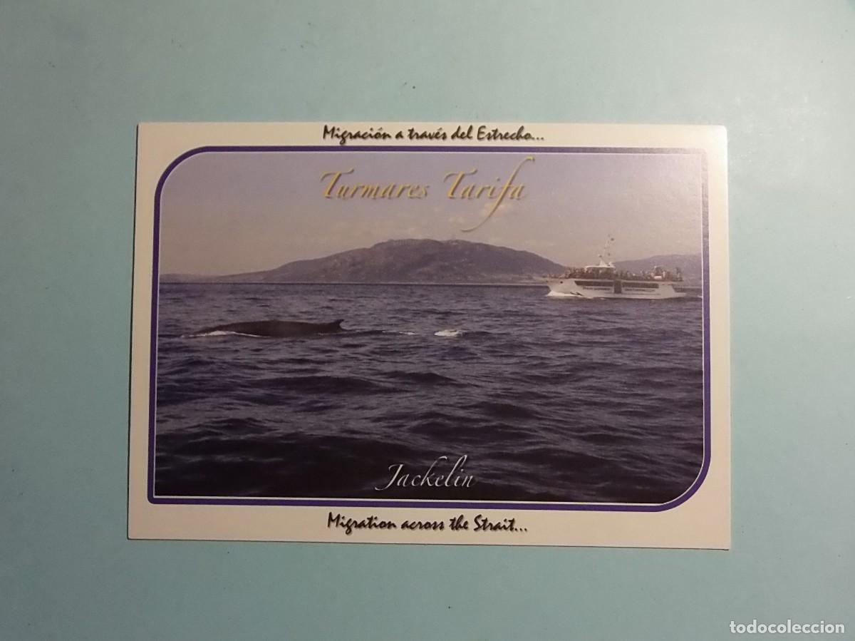 Postales: TARJETA POSTAL - TARIFA, MIGRACI&Oacute;N - BALLENAS.