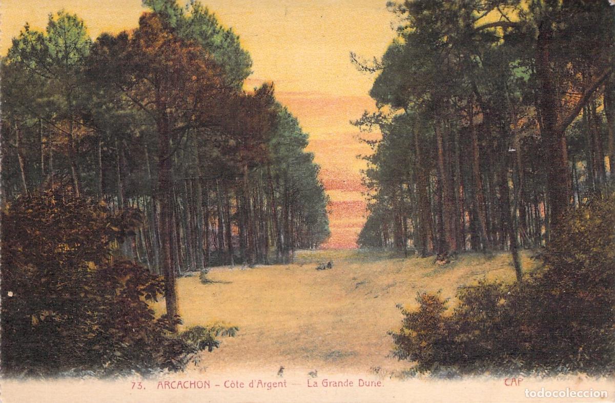 Postales: Tarjeta Postal Arcachon - C&ocirc;te d'Argent - La Grande Dune