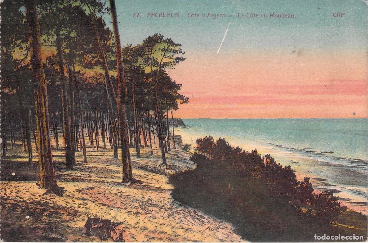 Postales: Postal de Arcachon, C&ocirc;te d'Argent - La C&ocirc;te du Moulleau