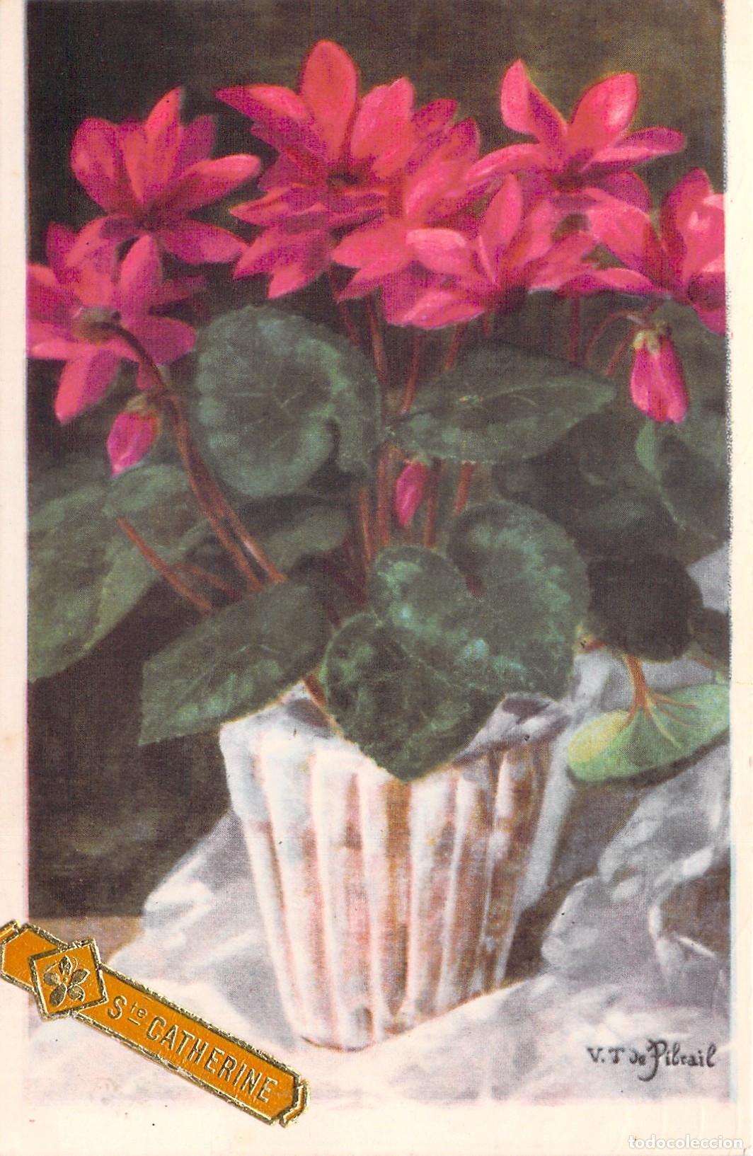 Cartes Postales: Postal de Felicitaci&oacute;n Santa Catalina con Flores de Ciclamen