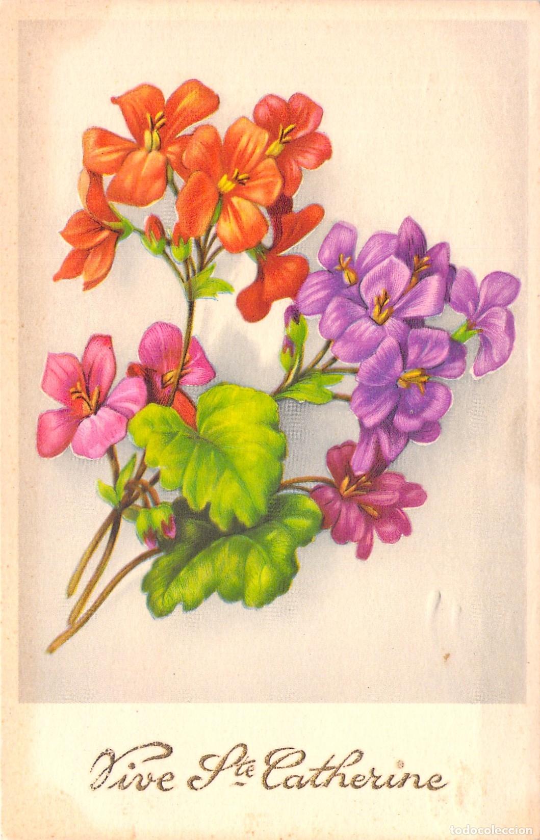 Cartes Postales: Postal de Felicitaci&oacute;n de Santa Catalina con Flores