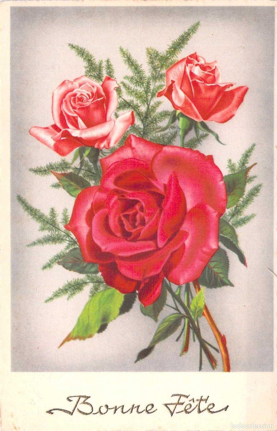 Cartes Postales: Postal Francesa de Felicitaci&oacute;n con Rosas Rojas Bonne F&ecirc;te