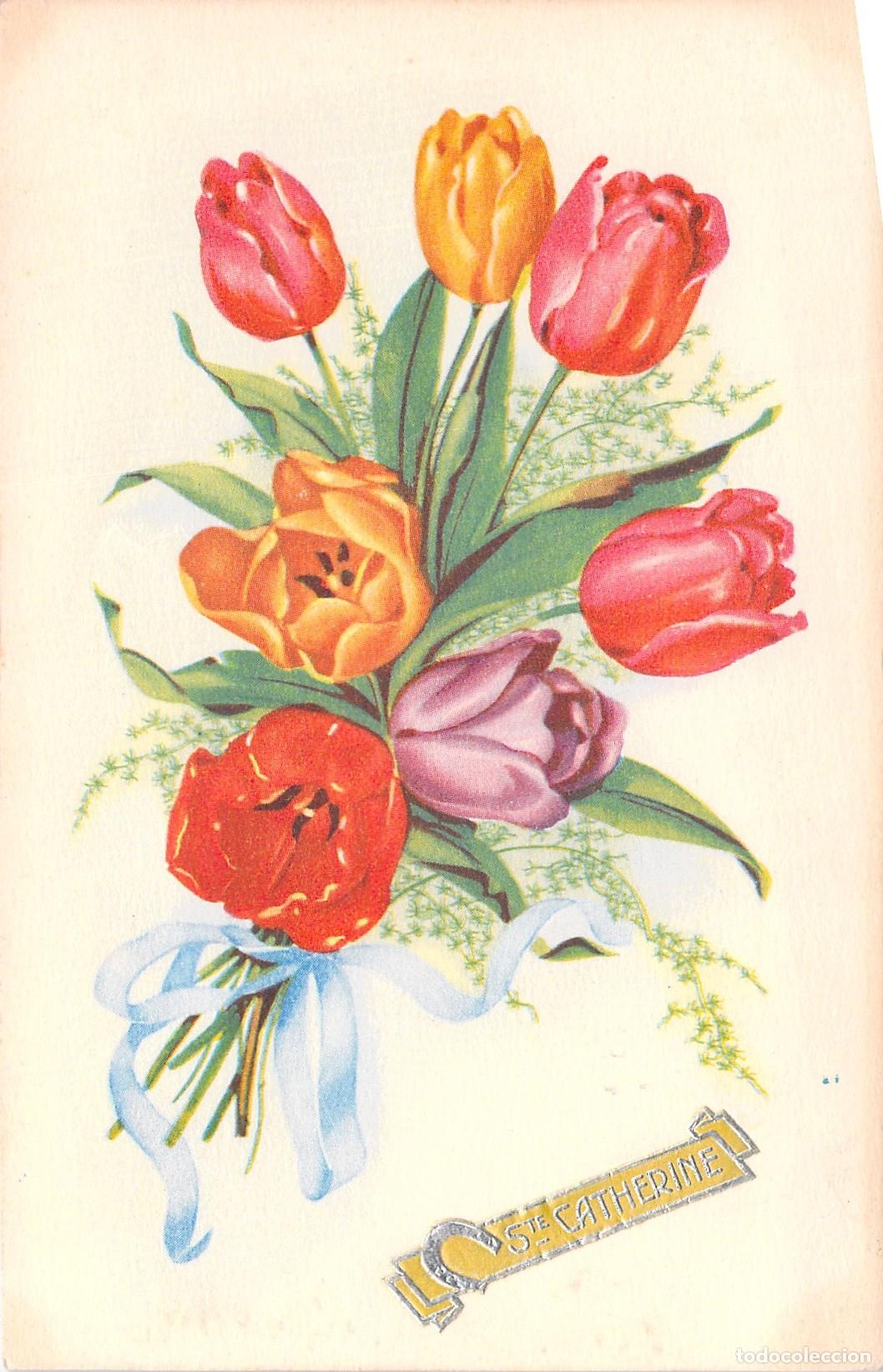 Cartes Postales: Postal de Felicitaci&oacute;n de Santa Catalina con Ramo de Tulipanes