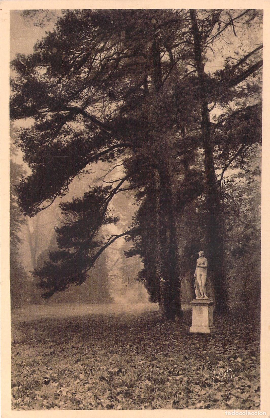 Postales: Postal de Fontainebleau Le Parc un matin d'Automne Francia