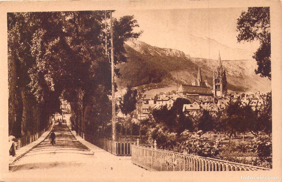 Postales: Postal de Mende con la All&eacute;e Piencourt y la Catedral