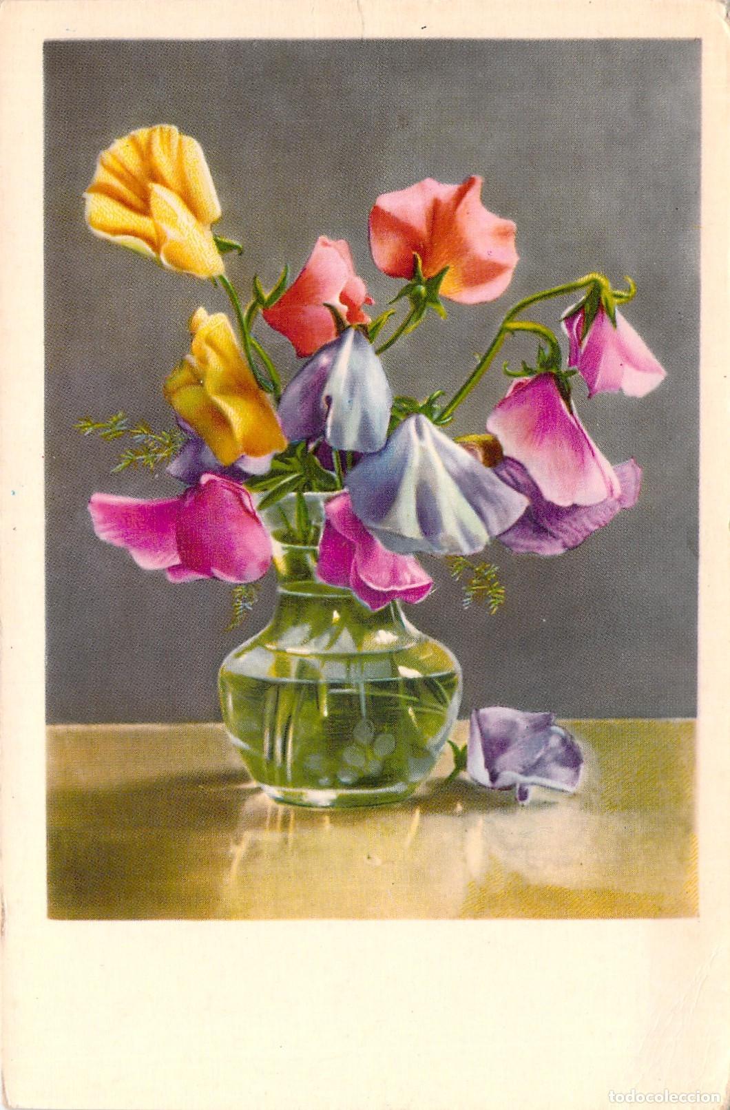 Postcards: Postal Art&iacute;stica de Flores Guisantes de Olor en Jarr&oacute;n de Cristal