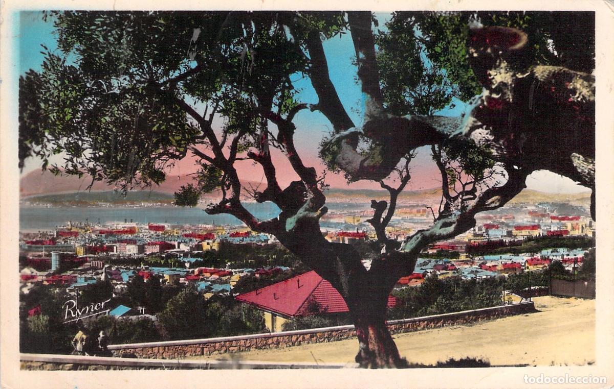 Postales: Postal de Toulon Vista General con &Aacute;rbol en Primer Plano Var Francia